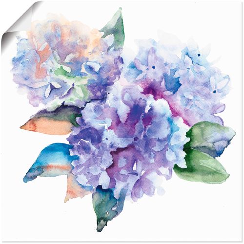 4059745776066 - Wandbild ARTLAND Hortensien Bilder Gr B H 100 cm x 100 cm Poster Blumen 1 St blau Bild Poster Bilder als Alubild Leinwandbild Wandaufkleber oder in versch Größen 4059745776066 - Wandbild ARTLAND Hortensien Bilder Gr B H 100 cm x 100 cm Poster Blumen 1 St blau Bild Poster Bilder als Alubild Leinwandbild Wandaufkleber oder in versch Größen