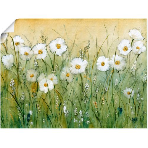4058661359940 - Wandbild ARTLAND Gänseblümchenfrühling II Bilder Gr B H 80 cm x 60 cm Poster Blumen Querformat 1 St grün Bild Metallbild Metallbilder Bilder als Alubild Leinwandbild Wandaufkleber oder Poster in versch Größen 4058661359940 - Wandbild ARTLAND Gänseblümchenfrühling II Bilder Gr B H 80 cm x 60 cm Poster Blumen Querformat 1 St grün Bild Metallbild Metallbilder Bilder als Alubild Leinwandbild Wandaufkleber oder Poster in versch Größen