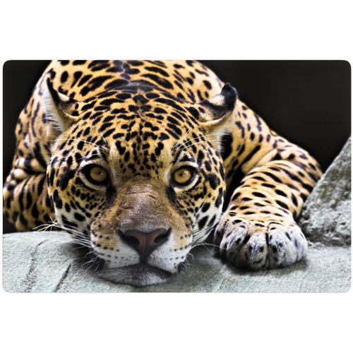 4260351392551 - Glasbild WALL-ART Jaguar Bilder Gr B H 100 cm x 70 cm Schriftzug braun (schwarz braun) Glasbilder Glasposter modern