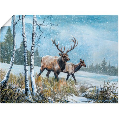 4058661409348 - Wandbild ARTLAND Hirsch Reise IV Bilder Gr B H 40 cm x 30 cm Poster Wildtiere Querformat 1 St weiß Bild Poster Bilder als Alubild Leinwandbild Wandaufkleber oder in versch Größen