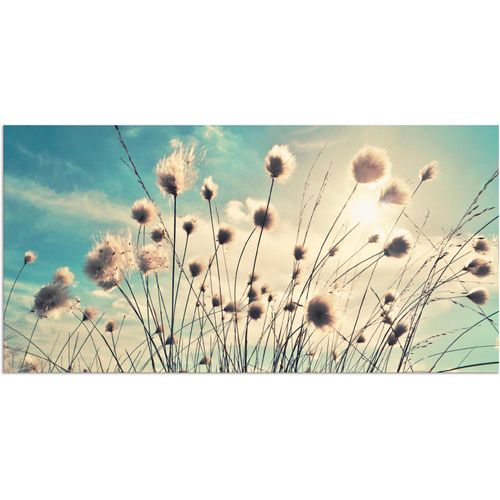 4059745195782 - Wandbild ARTLAND Wollgras Bilder Gr B H 60 cm x 30 cm Alu-Dibond-Druck Gräser 1 St blau Bild Kunstdruck Kunstdrucke Bilder als Alubild Leinwandbild Wandaufkleber oder Poster in versch Größen 4059745195782 - Wandbild ARTLAND Wollgras Bilder Gr B H 60 cm x 30 cm Alu-Dibond-Druck Gräser 1 St blau Bild Kunstdruck Kunstdrucke Bilder als Alubild Leinwandbild Wandaufkleber oder Poster in versch Größen