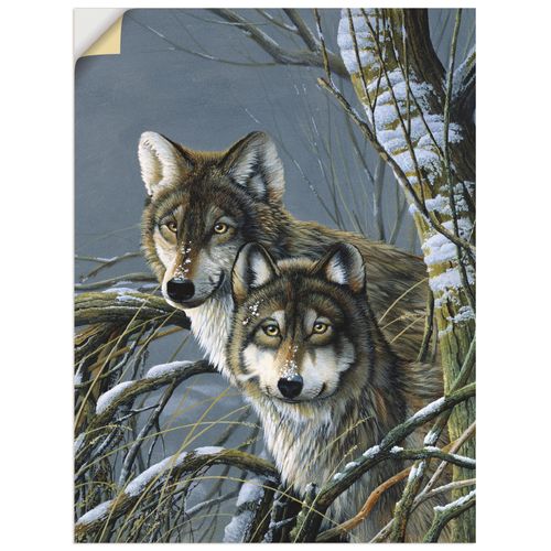 4062144388532 - Wandbild ARTLAND Zwei Wölfe Bilder Gr B H 30 cm x 40 cm Wandaufkleber - Vinyl Wildtiere Hochformat 1 St grau Bild Leinwandbild Kunstdrucke Bilder als Leinwandbild Wandaufkleber oder Poster in versch Größen 4062144388532 - Wandbild ARTLAND Zwei Wölfe Bilder Gr B H 30 cm x 40 cm Wandaufkleber - Vinyl Wildtiere Hochformat 1 St grau Bild Leinwandbild Kunstdrucke Bilder als Leinwandbild Wandaufkleber oder Poster in versch Größen