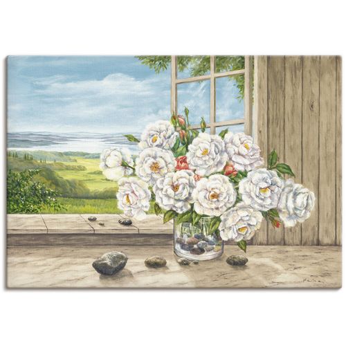 4055327163002 - Wandbild ARTLAND Weiße Rosen am Fenster Bilder Gr B H 70 cm x 50 cm Leinwandbild Blumen 1 St beige (naturfarben) Bild Poster Bilder als Alubild Leinwandbild Wandaufkleber oder in versch Größen