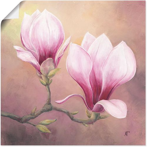 4055327282659 - Wandbild ARTLAND Späte Magnolie Bilder Gr B H 30 cm x 30 cm Poster Blumenbilder quadratisch 1 St lila Kunstdrucke als Alubild Leinwandbild Wandaufkleber oder Poster in versch Größen