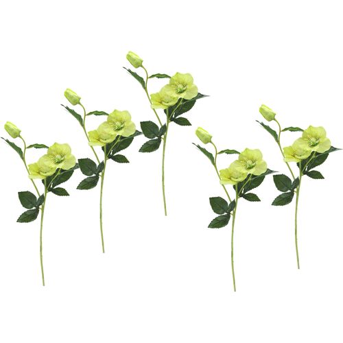 4019844791469 - Kunstblume IGEA Christrose Kunstpflanzen Gr B H L 12 cm x 57 cm x 5 cm 5 St grün Weitere Weihnachtsdeko Künstlich Seidenblumen 5er Set 4019844791469 - Kunstblume IGEA Christrose Kunstpflanzen Gr B H L 12 cm x 57 cm x 5 cm 5 St grün Weitere Weihnachtsdeko Künstlich Seidenblumen 5er Set