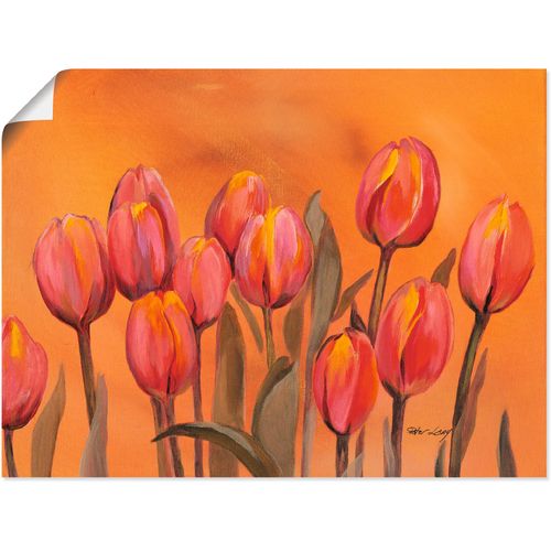 4055327292160 - Wandbild ARTLAND Tulpen Bilder Gr B H 60 cm x 45 cm Poster Blumen 1 St rot Bild Poster Bilder als Alubild Leinwandbild Wandaufkleber oder in versch Größen