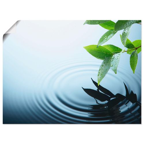 4062144535332 - Wandbild ARTLAND Pflanze und Wasser Bilder Gr B H 80 cm x 60 cm Poster Zen Querformat 1 St blau Bild Leinwandbild Kunstdrucke Bilder als Alubild Leinwandbild Wandaufkleber oder Poster in versch Größen 4062144535332 - Wandbild ARTLAND Pflanze und Wasser Bilder Gr B H 80 cm x 60 cm Poster Zen Querformat 1 St blau Bild Leinwandbild Kunstdrucke Bilder als Alubild Leinwandbild Wandaufkleber oder Poster in versch Größen
