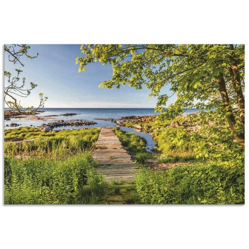 4062144660447 - Wandbild ARTLAND Der Weg zum Meer auf Bornholm Bilder Gr B H 30 cm x 20 cm Alu-Dibond-Druck Küstenbilder Querformat 1 St grün Kunstdrucke als Alubild Leinwandbild Wandaufkleber oder Poster in versch Größen