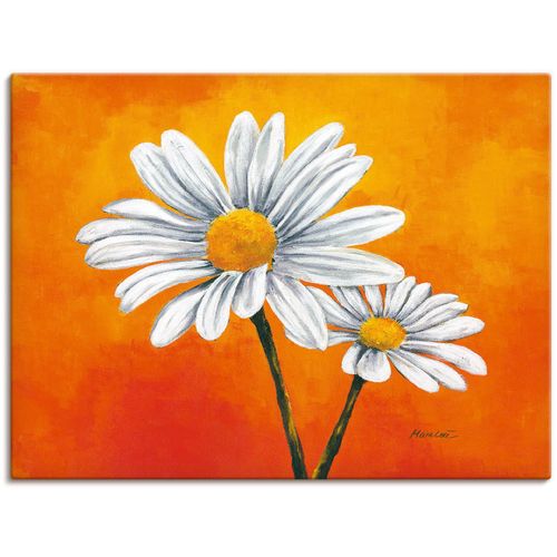 4058661475220 - Wandbild ARTLAND Margeriten auf Orange Bilder Gr B H 120 cm x 90 cm Leinwandbild Blumen 1 St orange Bild Poster Bilder als Alubild Leinwandbild Wandaufkleber oder in versch Größen 4058661475220 - Wandbild ARTLAND Margeriten auf Orange Bilder Gr B H 120 cm x 90 cm Leinwandbild Blumen 1 St orange Bild Poster Bilder als Alubild Leinwandbild Wandaufkleber oder in versch Größen