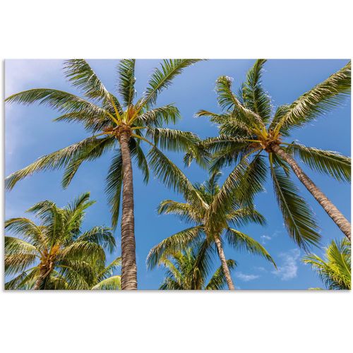 4062144739235 - Wandbild ARTLAND Palmen am Strand Bilder Gr B H 30 cm x 20 cm Alu-Dibond-Druck Strandbilder Querformat 1 St grün Kunstdrucke als Alubild Leinwandbild Wandaufkleber oder Poster in versch Größen