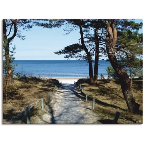 4055327212144 - Wandbild ARTLAND schöne Ostseeküste Bilder Gr B H 60 cm x 45 cm Leinwandbild Gewässer 1 St blau Bild Kunstdruck Leinwandbild Kunstdrucke Bilder als Leinwandbild Wandaufkleber oder Poster in versch Größen