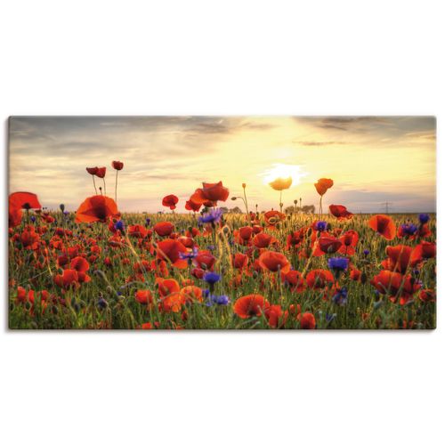 4062144278123 - Wandbild ARTLAND Mohnblumen Bilder Gr B H 40 cm x 20 cm Leinwandbild Blumen Querformat 1 St rot Bild Poster Bilder als Alubild Leinwandbild Wandaufkleber oder in versch Größen 4062144278123 - Wandbild ARTLAND Mohnblumen Bilder Gr B H 40 cm x 20 cm Leinwandbild Blumen Querformat 1 St rot Bild Poster Bilder als Alubild Leinwandbild Wandaufkleber oder in versch Größen