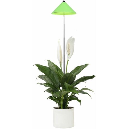 7350067690328 - SUNLiTE 7W LED Vollspektrum Pflanzenlampe Grün Indoor Plants Pflanzen Beleuchtung mit ausziehbarem Teleskopstab Parus Pflanzenlampe für kleine und mittelgroße Zimmerpflanzen