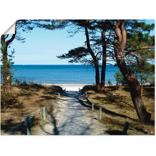 4055327519366 - Wandbild ARTLAND schöne Ostseeküste Bilder Gr B H 40 cm x 30 cm Poster Gewässer 1 St blau Bild Kunstdruck Leinwandbild Kunstdrucke Bilder als Leinwandbild Wandaufkleber oder Poster in versch Größen 4055327519366 - Wandbild ARTLAND schöne Ostseeküste Bilder Gr B H 40 cm x 30 cm Poster Gewässer 1 St blau Bild Kunstdruck Leinwandbild Kunstdrucke Bilder als Leinwandbild Wandaufkleber oder Poster in versch Größen
