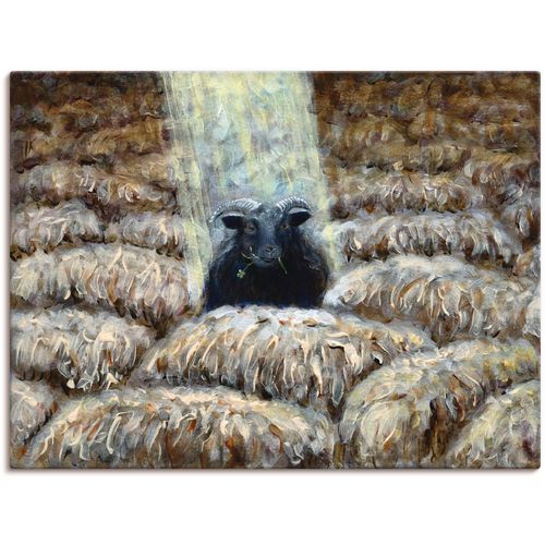 4055327379977 - Wandbild ARTLAND Schwarzes Schaf Bilder Gr B H 60 cm x 45 cm Leinwandbild Haustiere 1 St braun Bild Kunstdruck Kunstdrucke Bilder als Leinwandbild Wandaufkleber oder Poster in versch Größen 4055327379977 - Wandbild ARTLAND Schwarzes Schaf Bilder Gr B H 60 cm x 45 cm Leinwandbild Haustiere 1 St braun Bild Kunstdruck Kunstdrucke Bilder als Leinwandbild Wandaufkleber oder Poster in versch Größen
