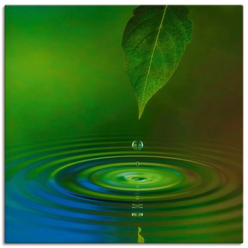 4055327233507 - Wandbild ARTLAND Wassertropfen Bilder Gr B H 40 cm x 40 cm Leinwandbild Zen quadratisch 1 St grün Bild Poster Bilder als Alubild Leinwandbild Wandaufkleber oder in versch Größen