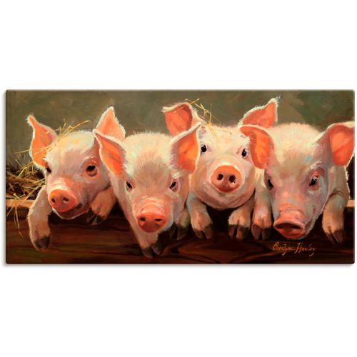 4058661336347 - Wandbild ARTLAND Das große Grunzen Bilder Gr B H 60 cm x 30 cm Leinwandbild Haustiere Querformat 1 St pink Bild Metallbild Metallbilder Bilder als Alubild Leinwandbild Wandaufkleber oder Poster in versch Größen