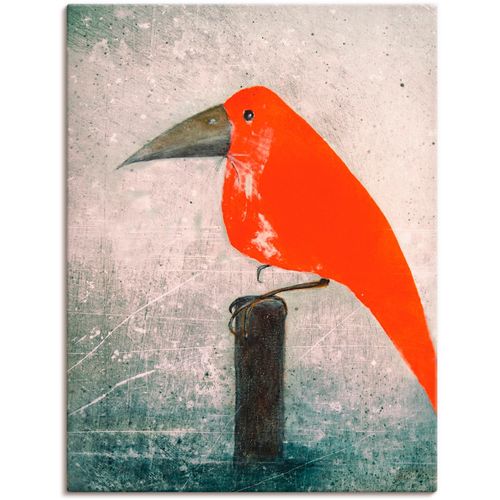 4055327322607 - Wandbild ARTLAND Der Rote Vogel Bilder Gr B H 45 cm x 60 cm Leinwandbild Vögel 1 St rot Bild Kunstdruck Kunstdrucke Bilder als Leinwandbild Wandaufkleber oder Poster in versch Größen