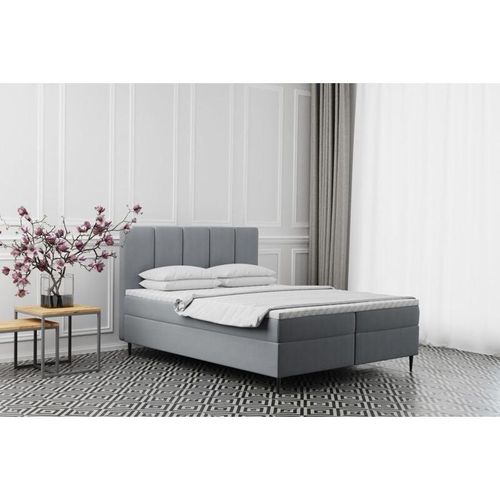 5905815185926 - - Boxspringbett mit bettkasten matratze adel stoff Monolith Hellgrau 140x200 cm