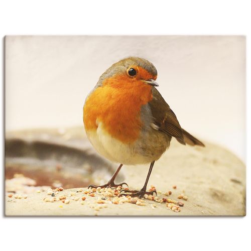4057738339427 - Wandbild ARTLAND Rotkehlchen Bilder Gr B H 60 cm x 45 cm Leinwandbild Vögel Querformat 1 St braun Bild Leinwandbild Kunstdrucke Bilder als Leinwandbild Wandaufkleber oder Poster in versch Größen 4057738339427 - Wandbild ARTLAND Rotkehlchen Bilder Gr B H 60 cm x 45 cm Leinwandbild Vögel Querformat 1 St braun Bild Leinwandbild Kunstdrucke Bilder als Leinwandbild Wandaufkleber oder Poster in versch Größen