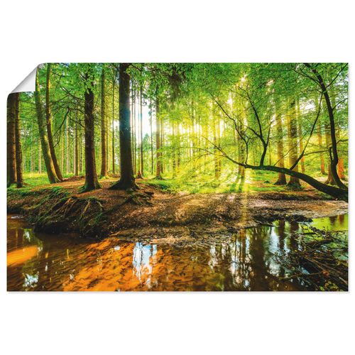 4059745929691 - Wandbild ARTLAND Wald mit Bach Bilder Gr B H 90 cm x 60 cm Poster Wald Querformat 1 St grün Bild Poster Bilder als Alubild Leinwandbild Wandaufkleber oder in versch Größen 4059745929691 - Wandbild ARTLAND Wald mit Bach Bilder Gr B H 90 cm x 60 cm Poster Wald Querformat 1 St grün Bild Poster Bilder als Alubild Leinwandbild Wandaufkleber oder in versch Größen