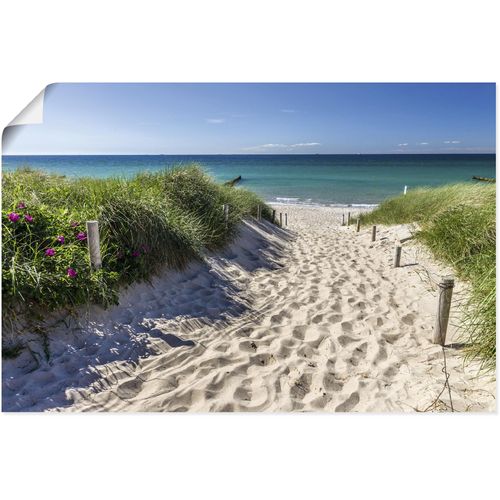 4062144662199 - Wandbild ARTLAND Weg zum Strand an der Ostsee Bilder Gr B H 30 cm x 20 cm Poster Strandbilder Querformat 1 St blau Kunstdrucke als Alubild Leinwandbild Wandaufkleber oder Poster in versch Größen 4062144662199 - Wandbild ARTLAND Weg zum Strand an der Ostsee Bilder Gr B H 30 cm x 20 cm Poster Strandbilder Querformat 1 St blau Kunstdrucke als Alubild Leinwandbild Wandaufkleber oder Poster in versch Größen