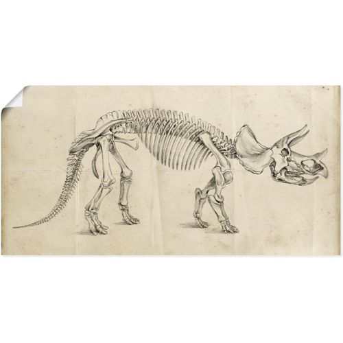 4058661310699 - Wandbild ARTLAND Dinosauria Lehre II Bilder Gr B H 60 cm x 30 cm Poster Dinosaurier Querformat 1 St beige (naturfarben) Bild Poster Bilder als Alubild Leinwandbild Wandaufkleber oder in versch Größen