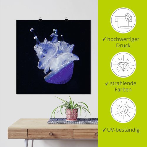 4059745288026 - Wandbild ARTLAND Qualle Aquarium Zoo Bilder Gr B H 50 cm x 50 cm Poster Wassertiere quadratisch 1 St blau Bild Poster Bilder als Alubild Leinwandbild Wandaufkleber oder in versch Größen