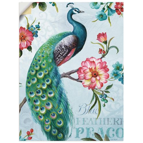 4062144444795 - Wandbild ARTLAND Blau gepfederter Pfau Bilder Gr B H 60 cm x 80 cm Wandaufkleber - Vinyl Vögel Hochformat 1 St grün Bild Leinwandbild Kunstdrucke Bilder als Leinwandbild Wandaufkleber oder Poster in versch Größen 4062144444795 - Wandbild ARTLAND Blau gepfederter Pfau Bilder Gr B H 60 cm x 80 cm Wandaufkleber - Vinyl Vögel Hochformat 1 St grün Bild Leinwandbild Kunstdrucke Bilder als Leinwandbild Wandaufkleber oder Poster in versch Größen