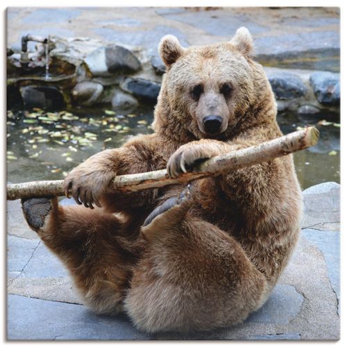 4058661143785 - Wandbild ARTLAND Bär II Bilder Gr B H 30 cm x 30 cm Leinwandbild Wildtiere quadratisch 1 St braun Bild Leinwandbild Kunstdrucke Bilder als Alubild Leinwandbild Wandaufkleber oder Poster in versch Größen 4058661143785 - Wandbild ARTLAND Bär II Bilder Gr B H 30 cm x 30 cm Leinwandbild Wildtiere quadratisch 1 St braun Bild Leinwandbild Kunstdrucke Bilder als Alubild Leinwandbild Wandaufkleber oder Poster in versch Größen