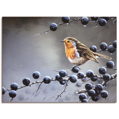 4055327462723 - Wandbild ARTLAND Vogel im Beerenbaum Bilder Gr B H 40 cm x 30 cm Leinwandbild Vögel Querformat 1 St grau Kunstdrucke als Leinwandbild Wandaufkleber oder Poster in versch Größen
