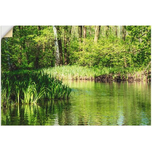 4062144045190 - Wandbild ARTLAND Landschaft im Spreewald bei Lübbenau Bilder Gr B H 60 cm x 40 cm Poster Wald 1 St grün Kunstdrucke Bilder als Alubild Leinwandbild Wandaufkleber oder Poster in versch Größen 4062144045190 - Wandbild ARTLAND Landschaft im Spreewald bei Lübbenau Bilder Gr B H 60 cm x 40 cm Poster Wald 1 St grün Kunstdrucke Bilder als Alubild Leinwandbild Wandaufkleber oder Poster in versch Größen