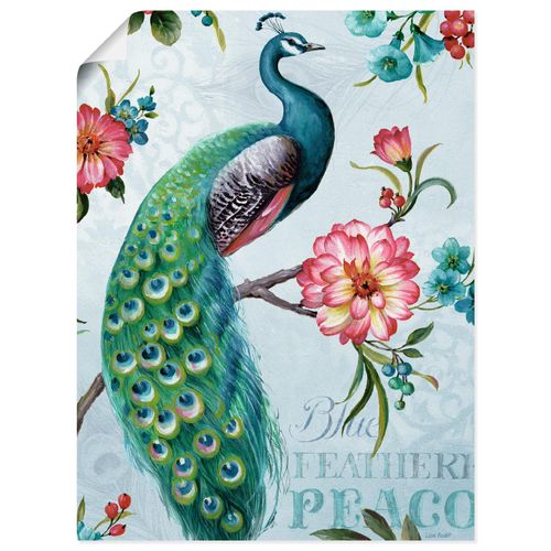 4055327753203 - Wandbild ARTLAND Blau gepfederter Pfau Bilder Gr B H 30 cm x 40 cm Poster Vögel Hochformat 1 St grün Bild Leinwandbild Kunstdrucke Bilder als Leinwandbild Wandaufkleber oder Poster in versch Größen 4055327753203 - Wandbild ARTLAND Blau gepfederter Pfau Bilder Gr B H 30 cm x 40 cm Poster Vögel Hochformat 1 St grün Bild Leinwandbild Kunstdrucke Bilder als Leinwandbild Wandaufkleber oder Poster in versch Größen