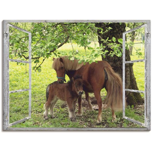 4057738830047 - Wandbild ARTLAND Fensterblick - Pony mit Kind Bilder Gr B H 60 cm x 45 cm Leinwandbild Haustiere 1 St grün Bild Kunstdruck Kunstdrucke Bilder als Alubild Leinwandbild Wandaufkleber oder Poster in versch Größen
