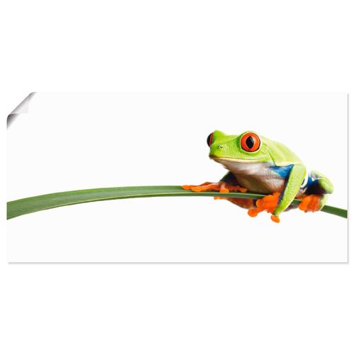 4055327420051 - Wandbild ARTLAND Frosch auf einem Blatt Bilder Gr B H 100 cm x 50 cm Poster Wassertiere Querformat 1 St weiß Bild Metallbild Metallbilder Bilder als Alubild Leinwandbild Wandaufkleber oder Poster in versch Größen