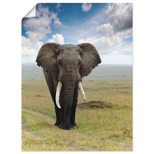 4055327640725 - Wandbild ARTLAND Elefant Bilder Gr B H 60 cm x 80 cm Poster Wildtiere Hochformat 1 St grün Bild Poster Bilder als Alubild Leinwandbild Wandaufkleber oder in versch Größen