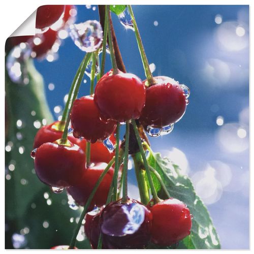 4059745143967 - Wandbild ARTLAND Rote Kirschen im Sommerregen Bilder Gr B H 40 cm x 40 cm Poster Lebensmittel quadratisch 1 St blau Bild Metallbild Metallbilder Bilder als Alubild Leinwandbild Wandaufkleber oder Poster in versch Größen 4059745143967 - Wandbild ARTLAND Rote Kirschen im Sommerregen Bilder Gr B H 40 cm x 40 cm Poster Lebensmittel quadratisch 1 St blau Bild Metallbild Metallbilder Bilder als Alubild Leinwandbild Wandaufkleber oder Poster in versch Größen