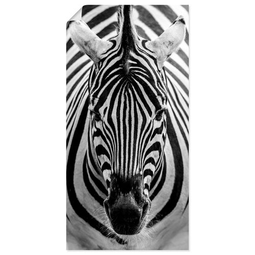 4062144344897 - Wandbild ARTLAND Zebra Bilder Gr B H 20 cm x 40 cm Poster Wildtiere Hochformat 1 St schwarz Bild Poster Bilder als Alubild Leinwandbild Wandaufkleber oder in versch Größen 4062144344897 - Wandbild ARTLAND Zebra Bilder Gr B H 20 cm x 40 cm Poster Wildtiere Hochformat 1 St schwarz Bild Poster Bilder als Alubild Leinwandbild Wandaufkleber oder in versch Größen