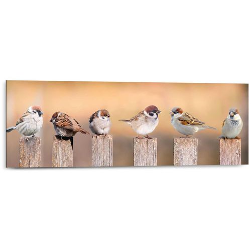 8714597563269 - Holzbild REINDERS Deco Panel 30x90 Bird Family Bilder Gr B H T 90 cm x 30 cm x 2 cm Querformat braun Holzbilder Bilder 8714597563269 - Holzbild REINDERS Deco Panel 30x90 Bird Family Bilder Gr B H T 90 cm x 30 cm x 2 cm Querformat braun Holzbilder Bilder