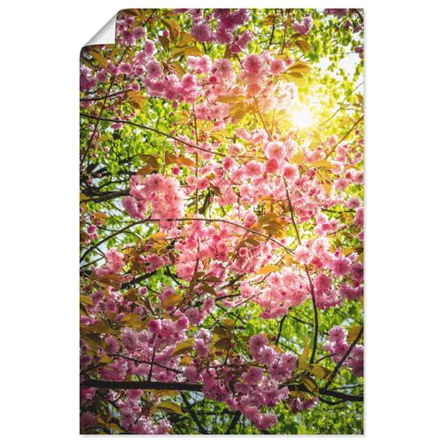 4059745592154 - Wandbild ARTLAND Japanische Kirschblüte Bilder Gr B H 60 cm x 90 cm Poster Vier Jahreszeiten Hochformat 1 St pink Bild Poster Bilder als Alubild Leinwandbild Wandaufkleber oder in versch Größen