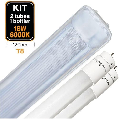 7061111181807 - Europalamp - Kit 2 LED-Röhren T8 18W Kaltweiß + Wasserdichtes Gehäuse 120cm