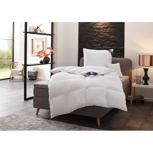 4033829010574 - Daunenbettdecke SPESSARTTRAUM First Class Bettdecken Gr B L 155 cm x 220 cm normal weiß Sommerbettdecke alle Größen und Wärmeklassen Allergiker geeignet 4033829010574 - Daunenbettdecke SPESSARTTRAUM First Class Bettdecken Gr B L 155 cm x 220 cm normal weiß Sommerbettdecke alle Größen und Wärmeklassen Allergiker geeignet