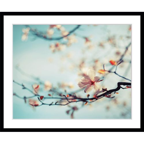 4049009915157 - Bild QUEENCE Roxy Bilder Gr B H 60 cm x 50 cm Wandbild Blumen Querformat blau (blau rosa) Kunstdrucke gerahmt Rosen