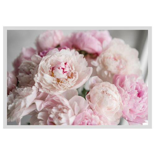 4049009914013 - Bild QUEENCE Amalia Bilder Gr B H 60 cm x 50 cm Wandbild Blumen Querformat rosa (weiß) Kunstdrucke gerahmt Rosen