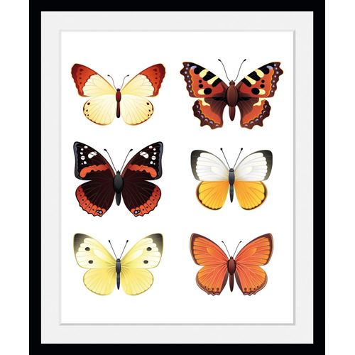 4049009846260 - Bild QUEENCE Elina Bilder Gr B H 50 cm x 70 cm Wandbild Schmetterlinge Hochformat 1 St bunt Bild Kunstdruck Bilder mit Rahmen