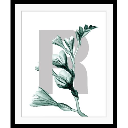 4049009901914 - Bild QUEENCE R-Flower Bilder Gr B H 50 cm x 60 cm Wandbild Buchstaben Hochformat grün (grau dunkelgrün) Kunstdrucke Blätter gerahmt Blume