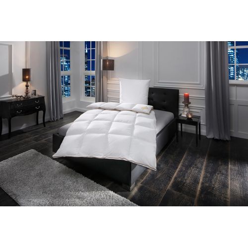 4022108858235 - Daunenbettdecke Emilias Bettdecken für Sommer und Winter Ganzjahresdecke Gr B L 240 cm x 220 cm warm weiß Allergiker Bettdecke 135x200 cm 155x220 weitere Größen Made in Germany 4022108858235 - Daunenbettdecke Emilias Bettdecken für Sommer und Winter Ganzjahresdecke Gr B L 240 cm x 220 cm warm weiß Allergiker Bettdecke 135x200 cm 155x220 weitere Größen Made in Germany