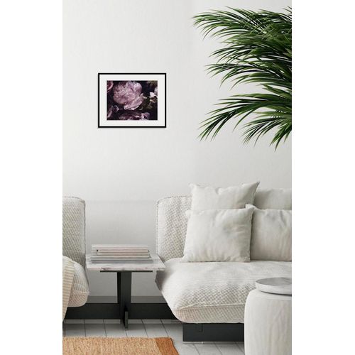 4049009842002 - Bild QUEENCE Shakira Bilder Gr B H 70 cm x 50 cm Wandbild Blumen Querformat 1 St lila Bild Kunstdruck Bilder mit Rahmen