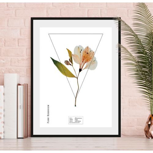 4049009844310 - Bild QUEENCE Alstroemeriaceae Bilder Gr B H 50 cm x 70 cm Wandbild Hochformat 1 St orange Bild Kunstdruck Bilder mit Rahmen