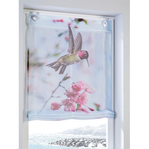 4056751500784 - Raffrollo HEINE HOME Gr 1 rosa (weiß rosé) Raffrollos 130cm Ösen 45cm B45cm H130cm